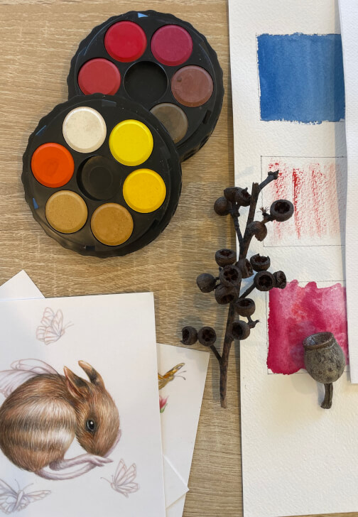 Botanical Illustration Watercolour Class
