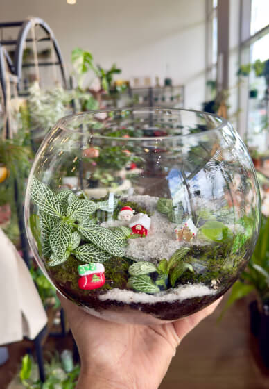 Christmas Mini Garden Terrarium Workshop