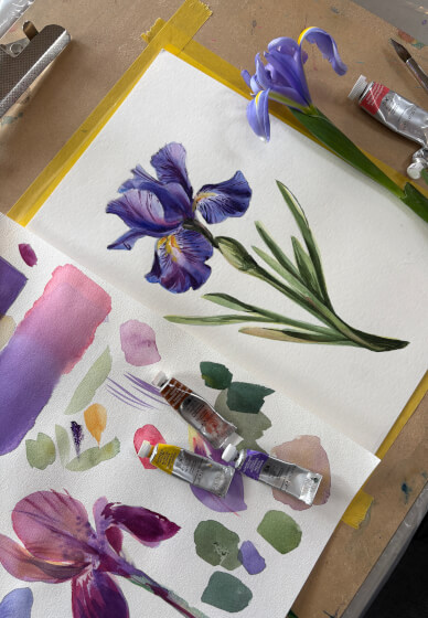 Dutch Iris Watercolour Painting Workshop