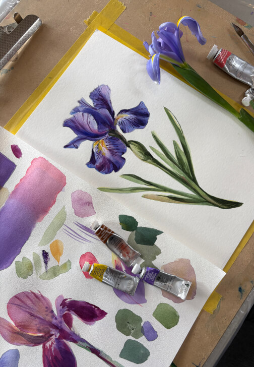 Dutch Iris Watercolour Painting Workshop