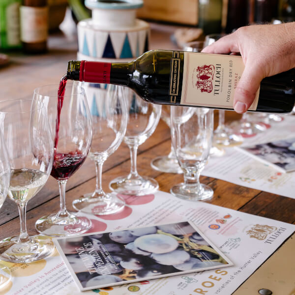 Wine Tasting Experiences