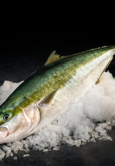 Kingfish Cooking Class: Coast to Coals