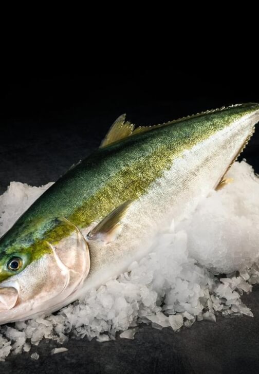 Kingfish Cooking Class: Coast to Coals