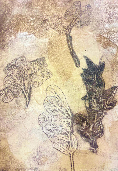 Mixed Media Gel Plate Botanical Printing Class