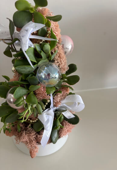 Succulent Christmas Tree Making Workshop