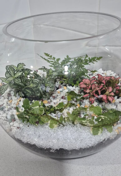 Terrarium Making Workshop: Two Options
