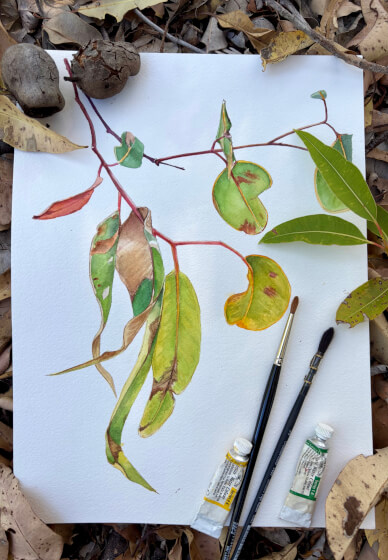 Watercolour Painting Workshop - Unbe-leaf-able