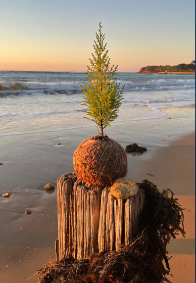 Bendigo Kokedama Workshop Wine and Twine at St Annes Winery