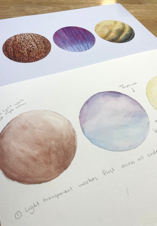 Botanical Illustration Watercolour Class