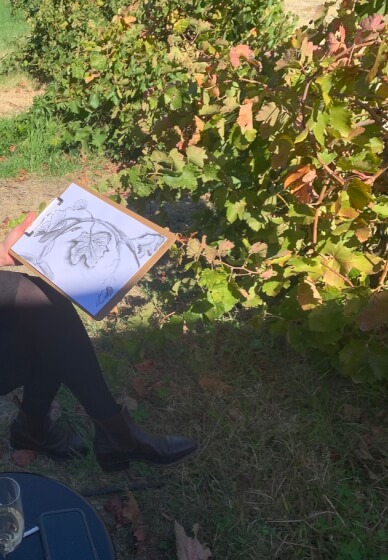 Charcoal Drawing Class: Amongst the Vines