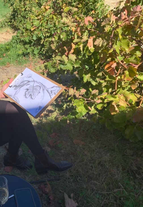 Photo from a drawing class in Tanunda