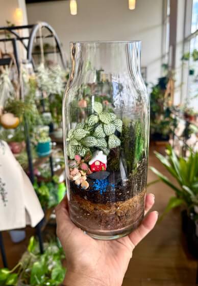 Christmas Mini Garden Terrarium Workshop
