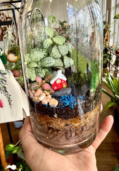 Christmas Mini Garden Terrarium Workshop