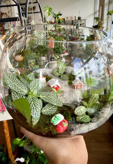 Christmas Mini Garden Terrarium Workshop