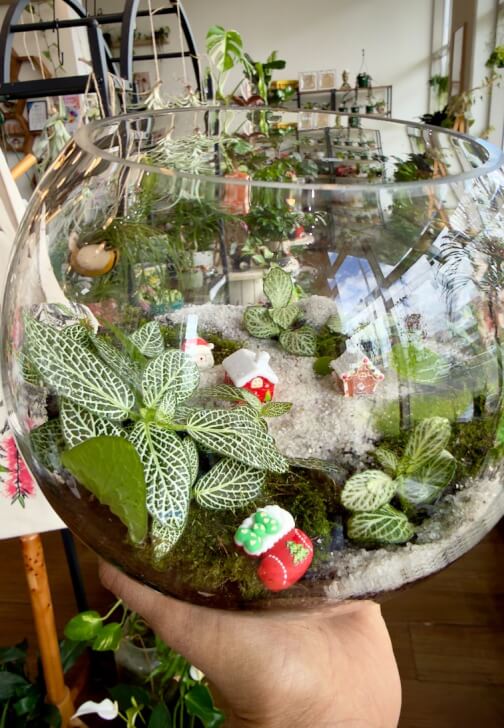 Terrarium class in Wentworthville, NSW