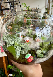 Christmas Mini Garden Terrarium Workshop