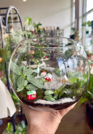 Christmas Mini Garden Terrarium Workshop