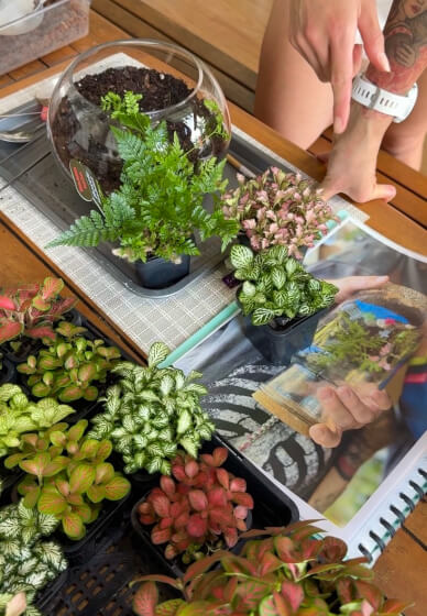 Christmas Mini Garden Terrarium Workshop