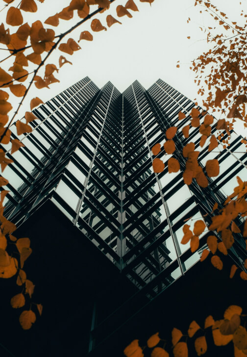 Composition Photography Workshop