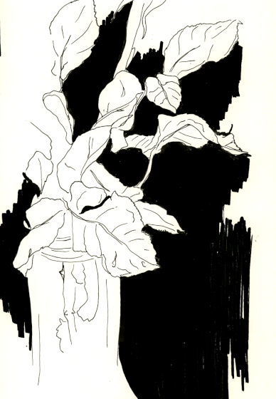 Continuous Line Drawing Workshop: Expressive Sketching