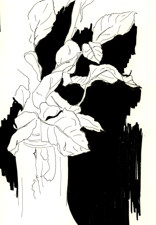 Continuous Line Drawing Workshop: Expressive Sketching