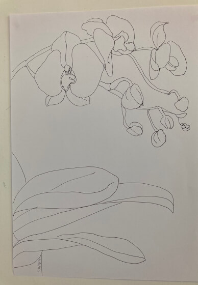 Continuous Line Drawing Workshop: Expressive Sketching