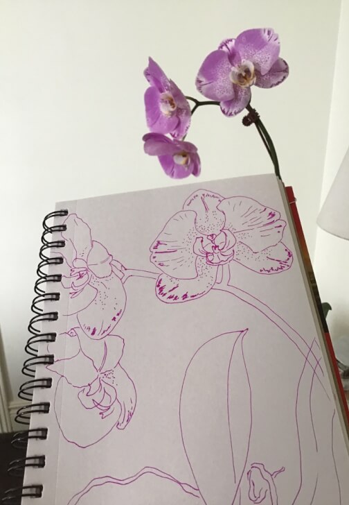 Continuous Line Drawing Workshop: Expressive Sketching
