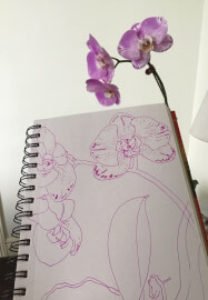 Continuous Line Drawing Workshop: Expressive Sketching