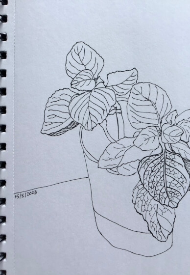 Continuous Line Drawing Workshop: Expressive Sketching