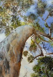 Creative Journey Class: Watercolour, Yupo and Experimental Drawing