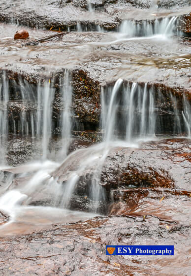 Digital Photography for Beginners Course