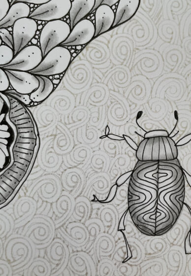 Zentangle Pattern Insect Y7 Task Draw Zentangle Art: Butterflies and Bugs | Online class & kit | Gifts ...