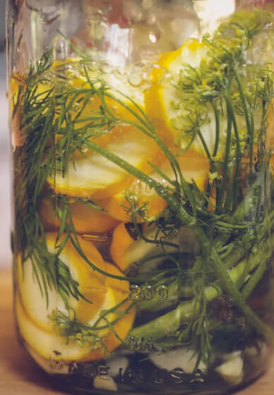 Gutsy Goodness: Ferment Your Festive Summer Workshop