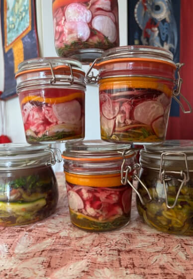 Gutsy Goodness: Ferment Your Festive Summer Workshop