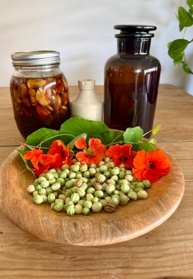 Herbal Basics Workshop