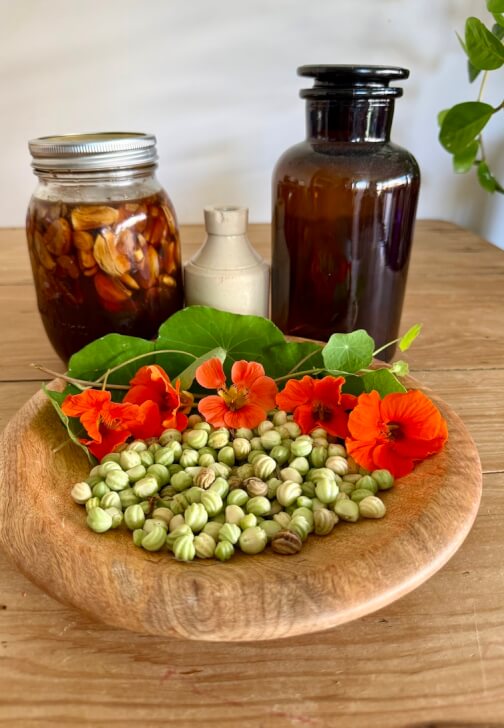 Herbal Basics Workshop