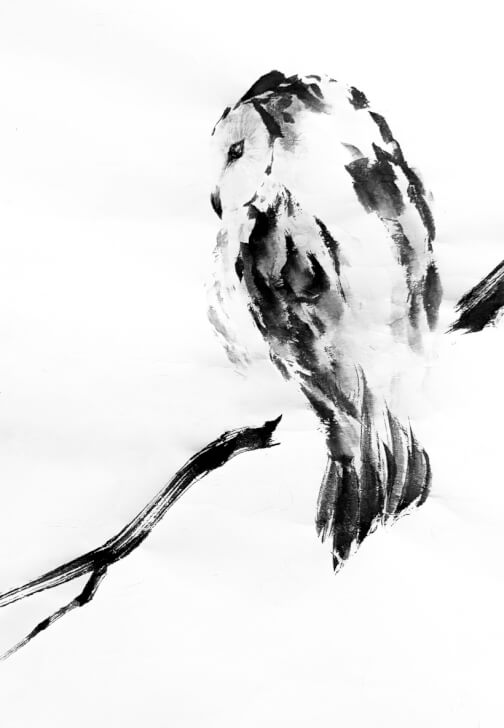 Painting class in Prahran