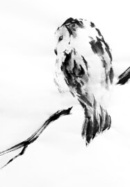 Japanese Ink Painting Workshop