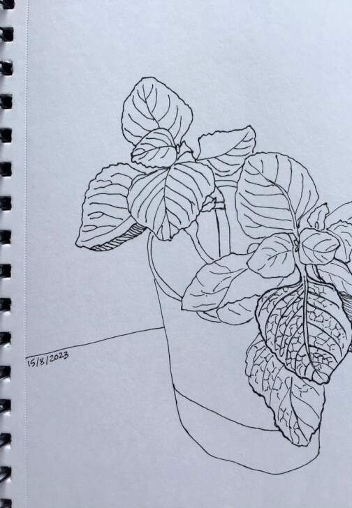 Photo from a drawing class