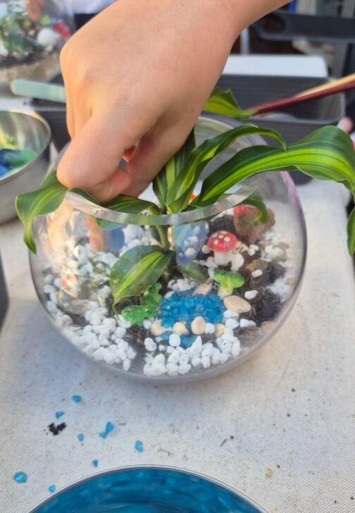 Terrarium class in Petersham with Wattle & Bee