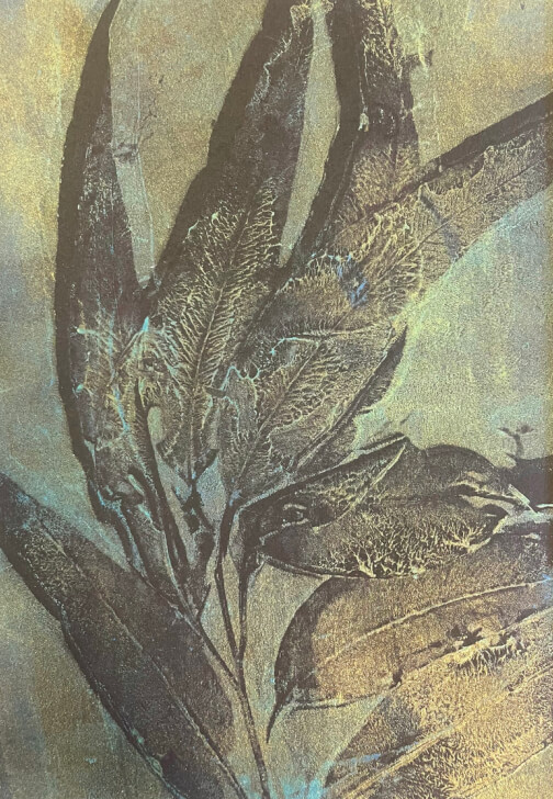 Mixed Media Gel Plate Botanical Printing Class