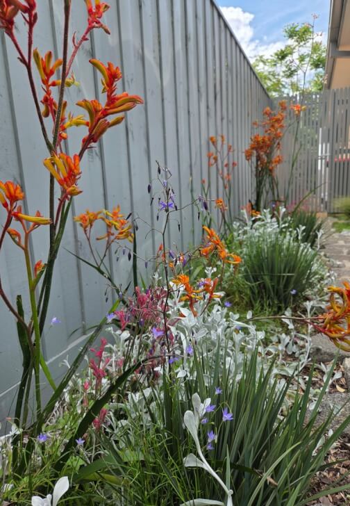 Gardening experience in Elwood