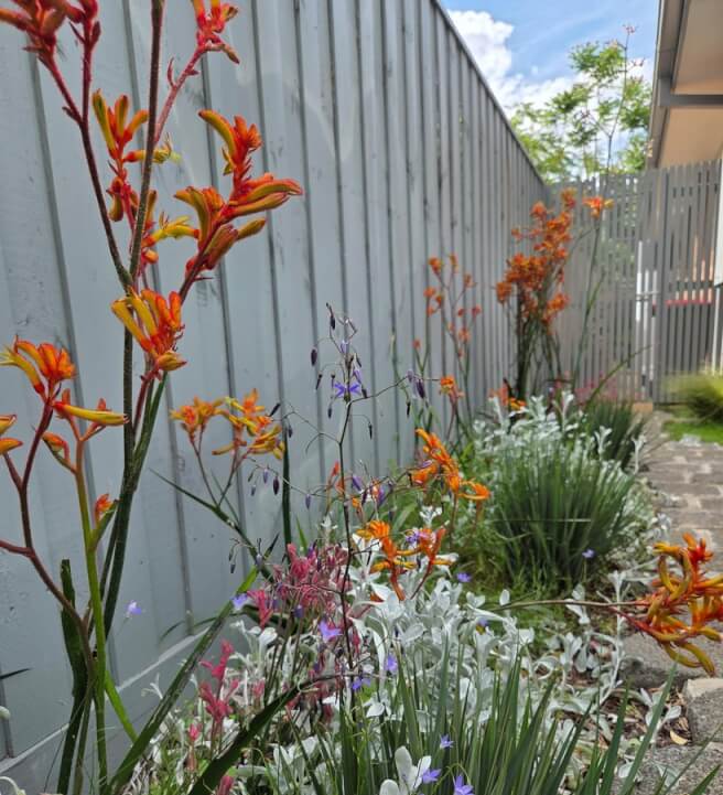 Photo from a gardening experience in Elwood