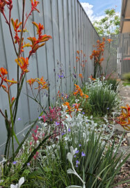 Mobile Garden Consultation Experience