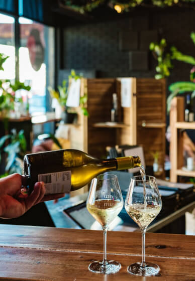 Oyster and Wine Tasting Experience