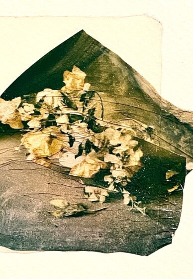 Polaroid Photo Emulsion Lifting Workshop (ages 15-100yrs)