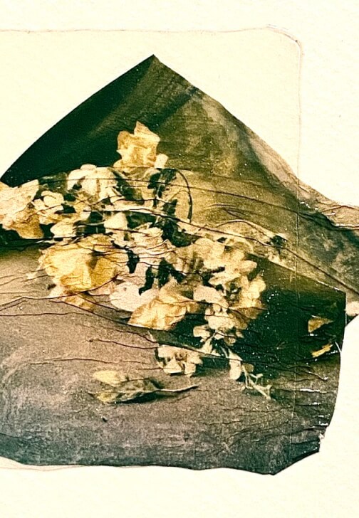 Polaroid Photo Emulsion Lifting Workshop (ages 15-100yrs)