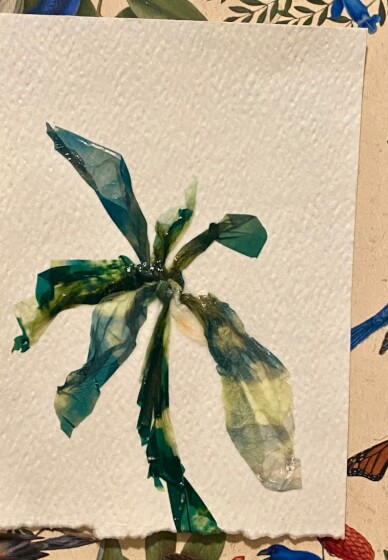 Polaroid Photo Emulsion Lifting Workshop (ages 15-100yrs)