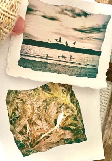 Polaroid Photo Emulsion Lifting Workshop (ages 15-100yrs)