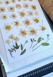 Pressed Flower Art Workshop at Rippon Lea Estate
